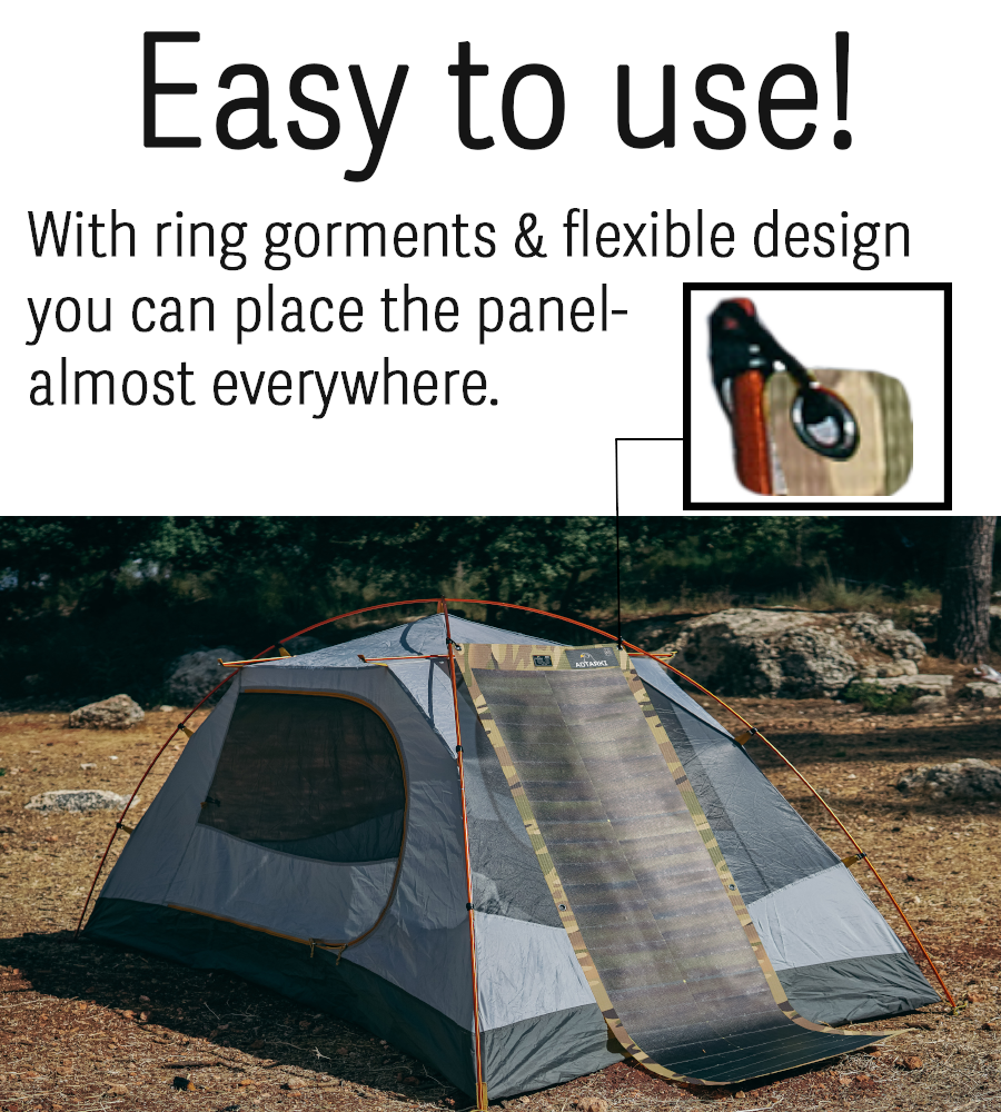 Eagle 80